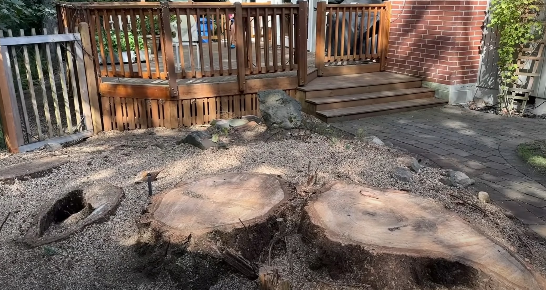 Professional stump grinding and removal services in Oak Ridge, TN