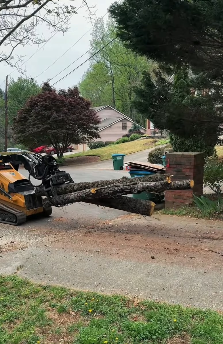 Expert Tree Removal Services Professional tree removal with specialized equipment and logs ready for transport