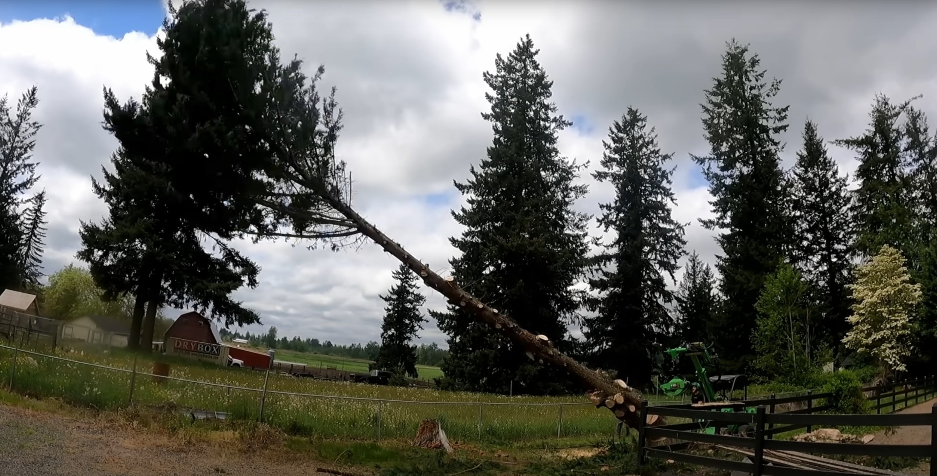 Residential Tree Removal Large tree removal project in residential area