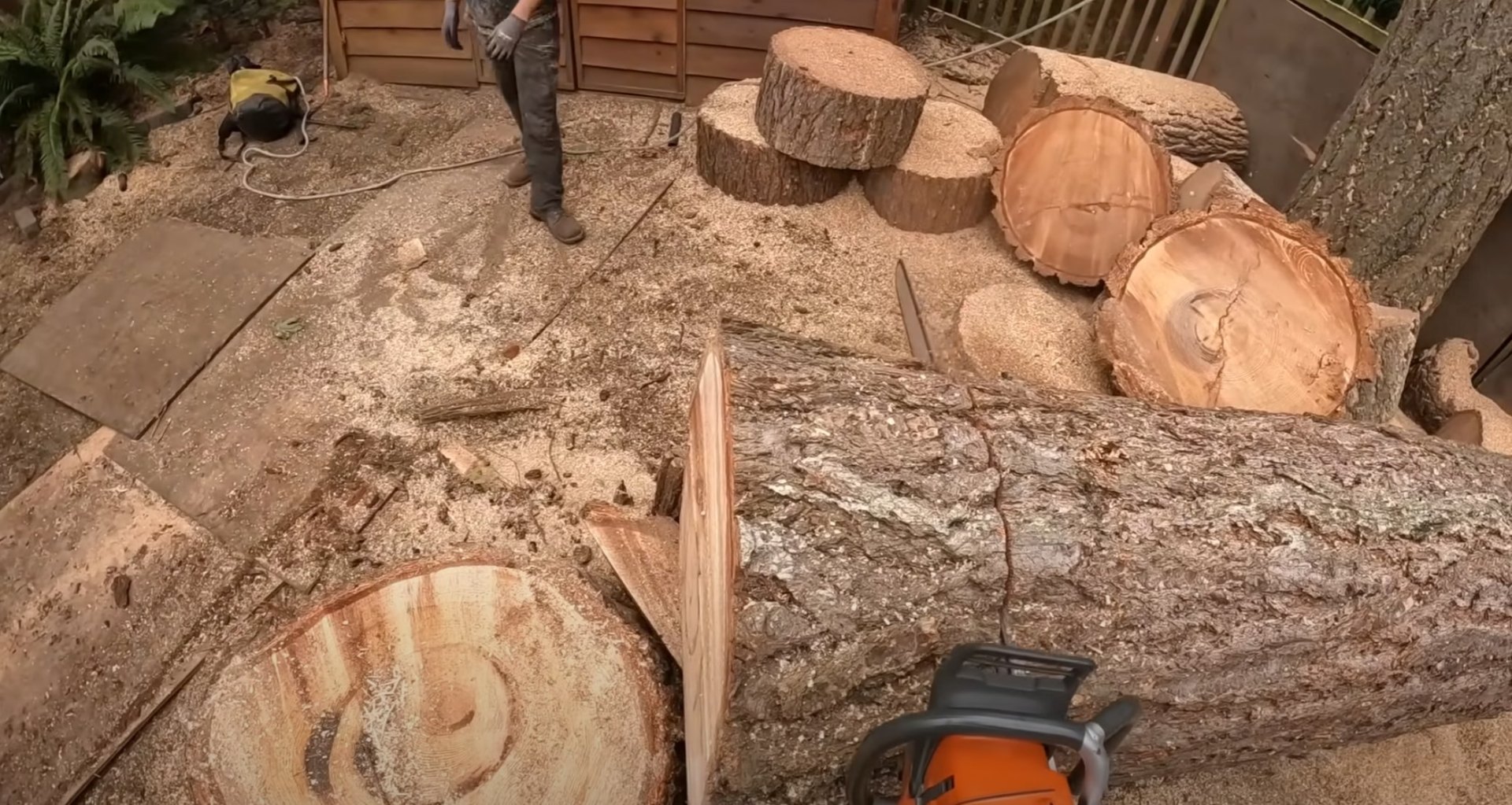 Tree Processing & Cleanup Tree sectioning and wood processing services