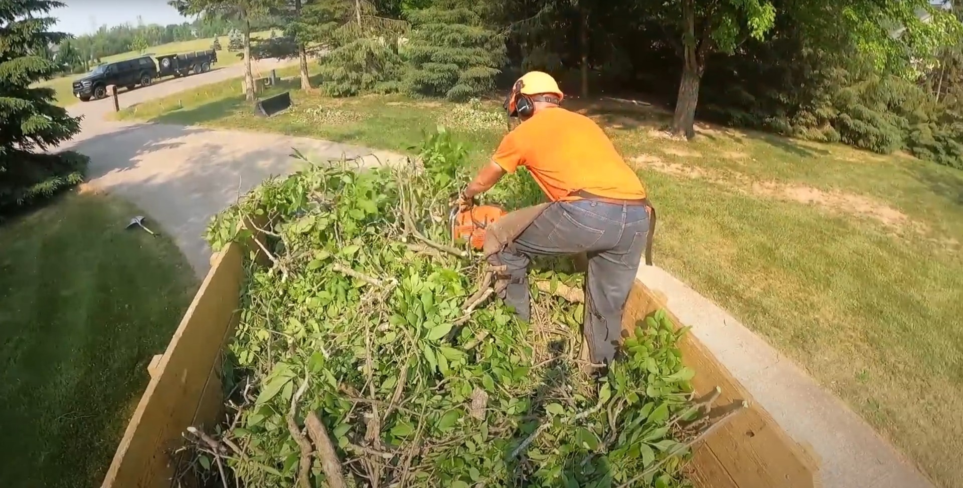 Problems Caused by Leaving Tree Stumps Tree stump showing decay and pest problems