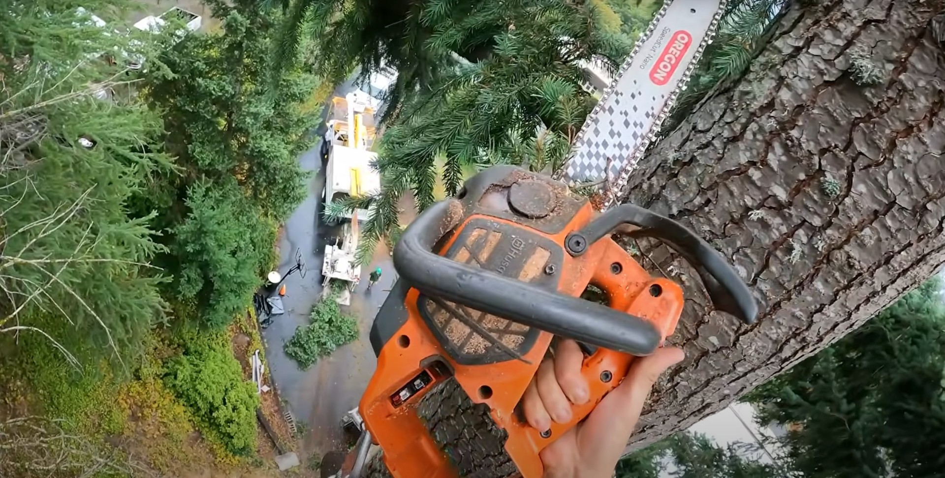 What Sets Oak Ridge Tree Service Apart Oak Ridge Tree Service team showcasing local expertise