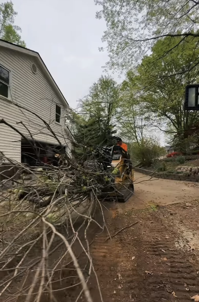 Comprehensive Tree Service Solutions Tree removal equipment and professional arborists at work