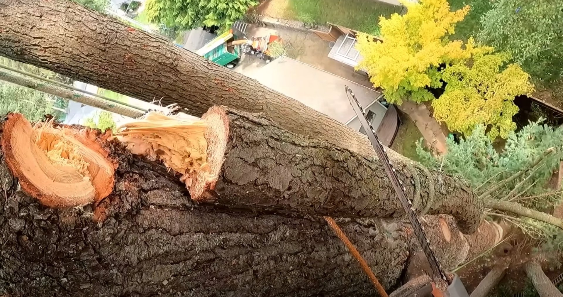 Professional Tree Work Aerial view of professional tree removal work