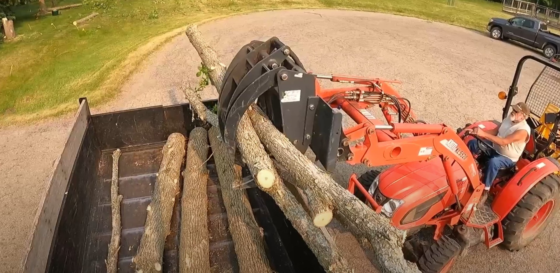 Expert Tree Trimming and Maintenance Services Professional tree trimming with specialized equipment